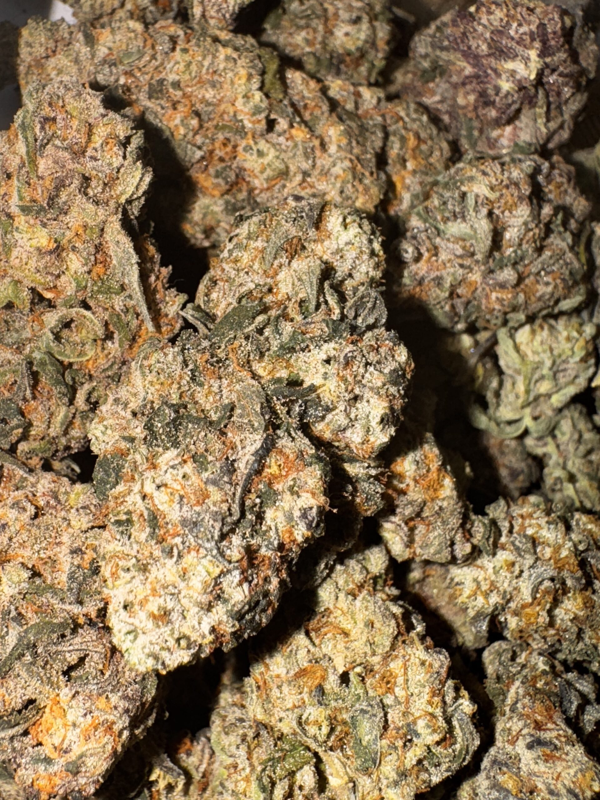 SlideShow 2 Nugs