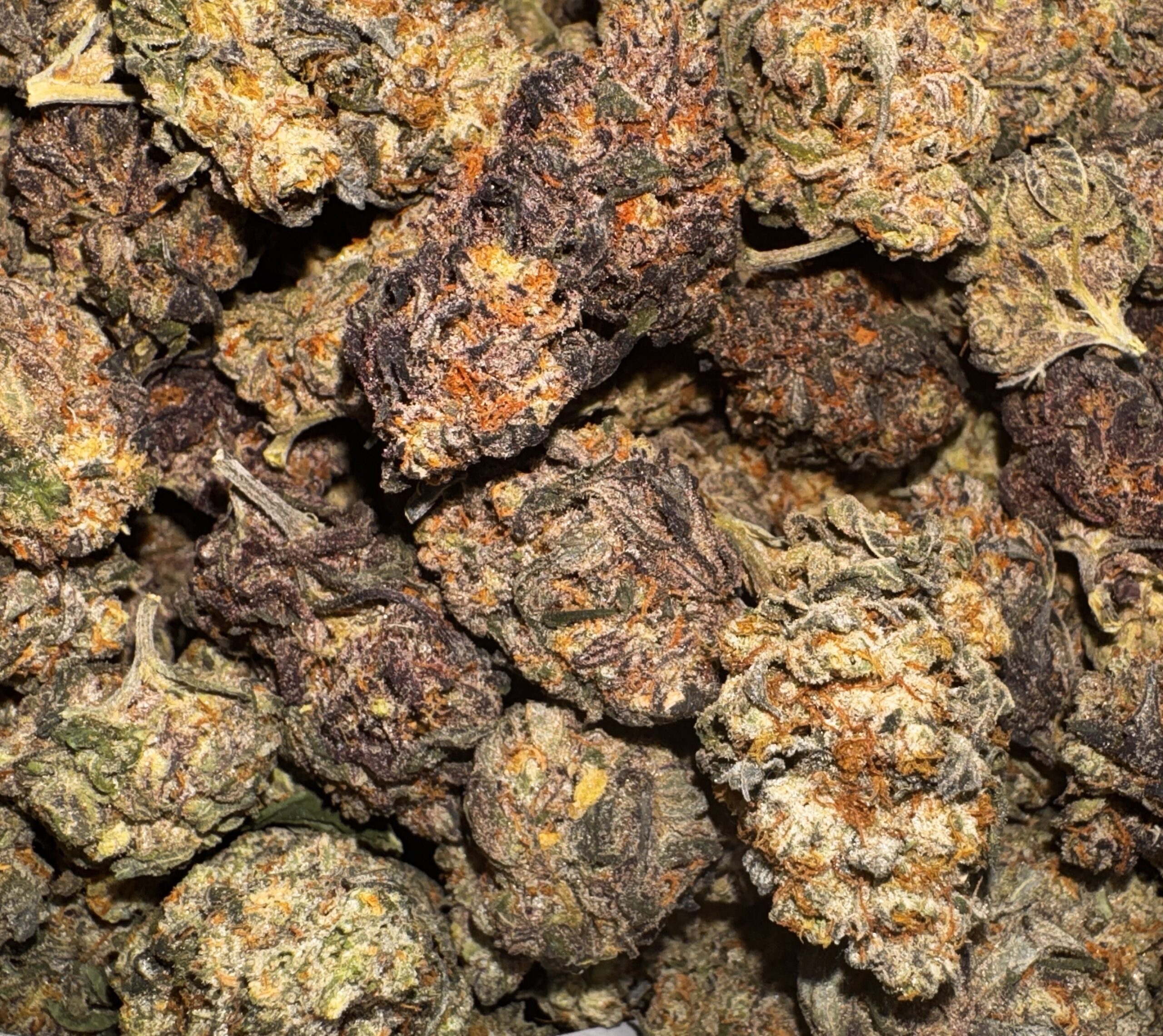 Slideshow 1 Nugs